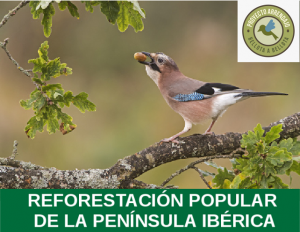 proyecto arrendajo_Naturaleza Ibérica .png  